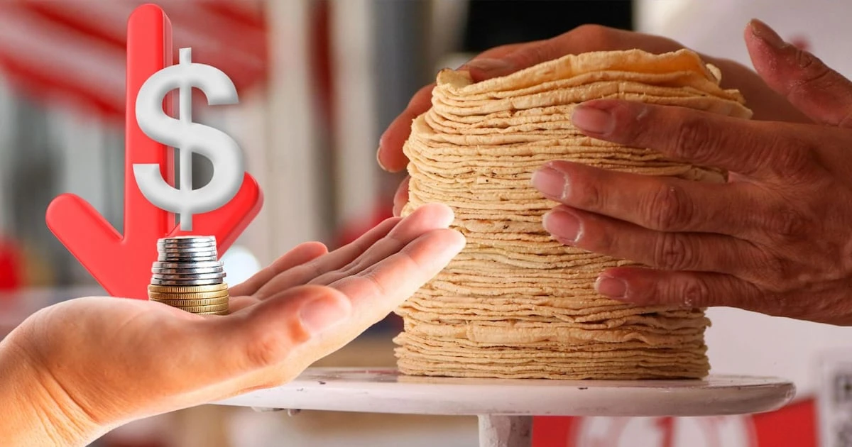 Acuerdo Nacional Maíz-Tortilla: ¿De qué va este plan para que el precio de las tortillas baje?
