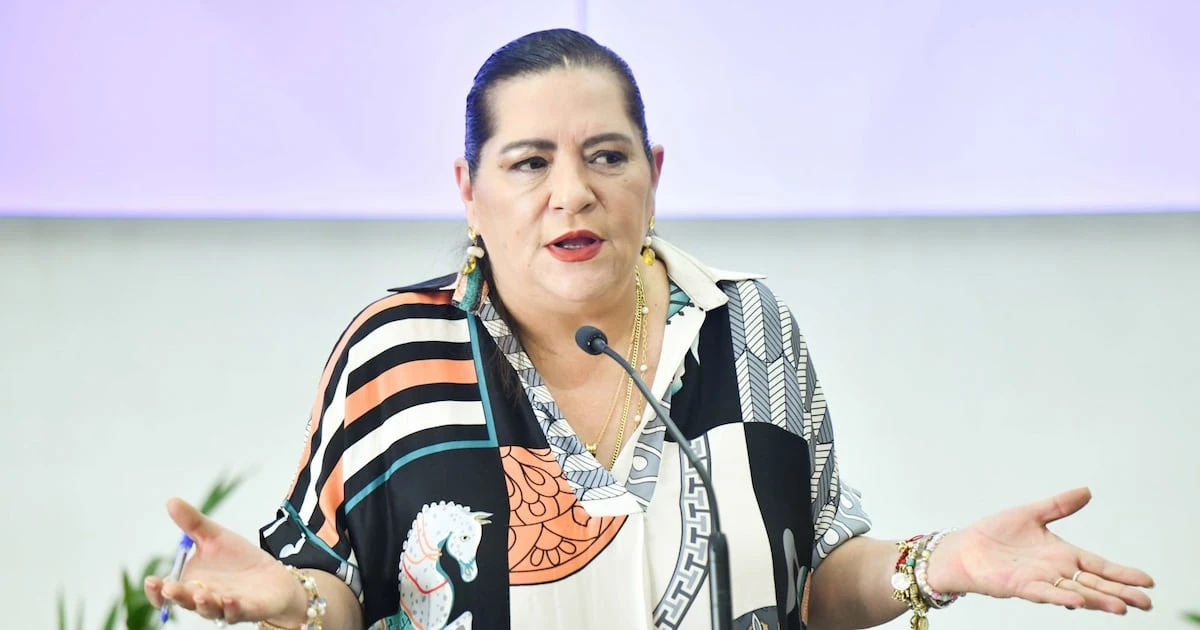 Taddei minimiza exclusión del INE en comisión para la reforma electoral: ‘No está prohibido acercarnos’