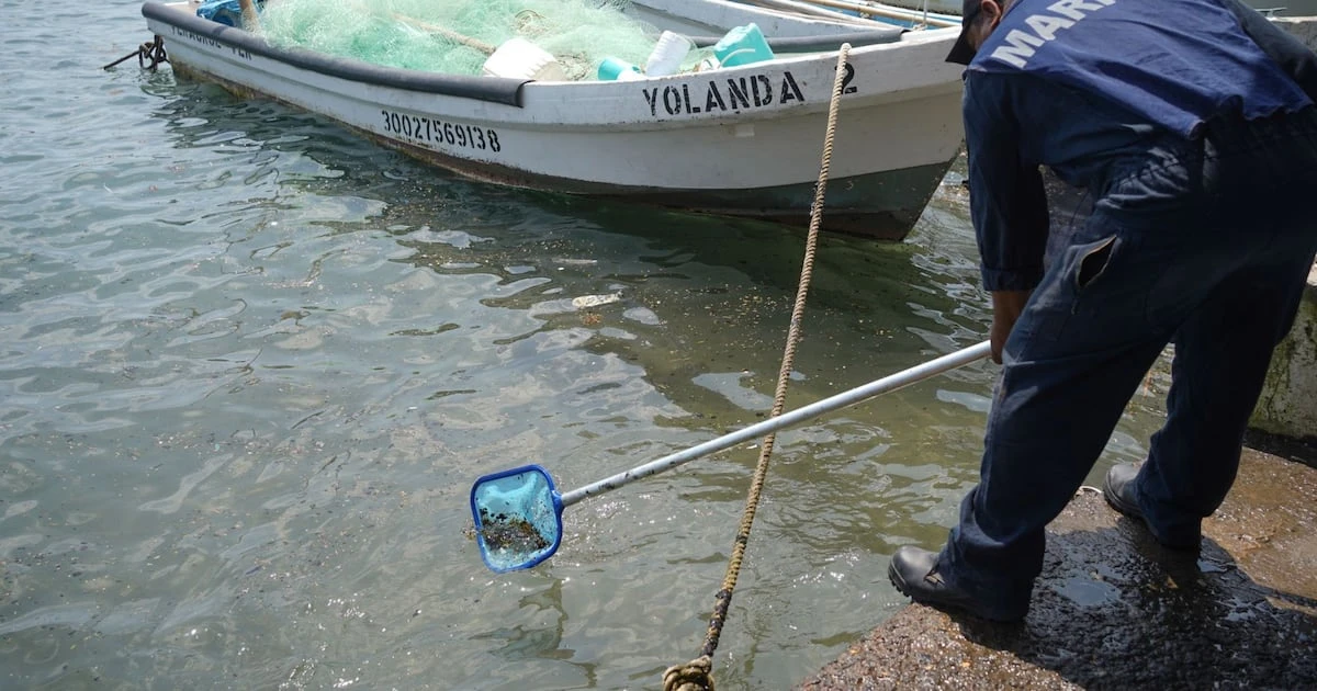 Greenpeace denuncia a Pemex por derrame de hidrocarburos en Golfo: ’Que investiguen a Víctor Rodríguez’