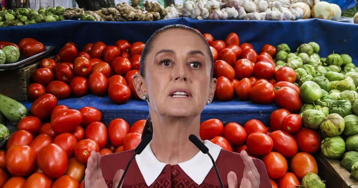 Regresa el jitomate a tu cocina: Sheinbaum acuerda con productores de 18 estados para bajar el precio