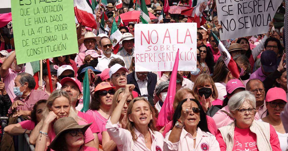 Marea Rosa se manifiesta a las afueras del INE: ‘Abre la puerta, Taddei’