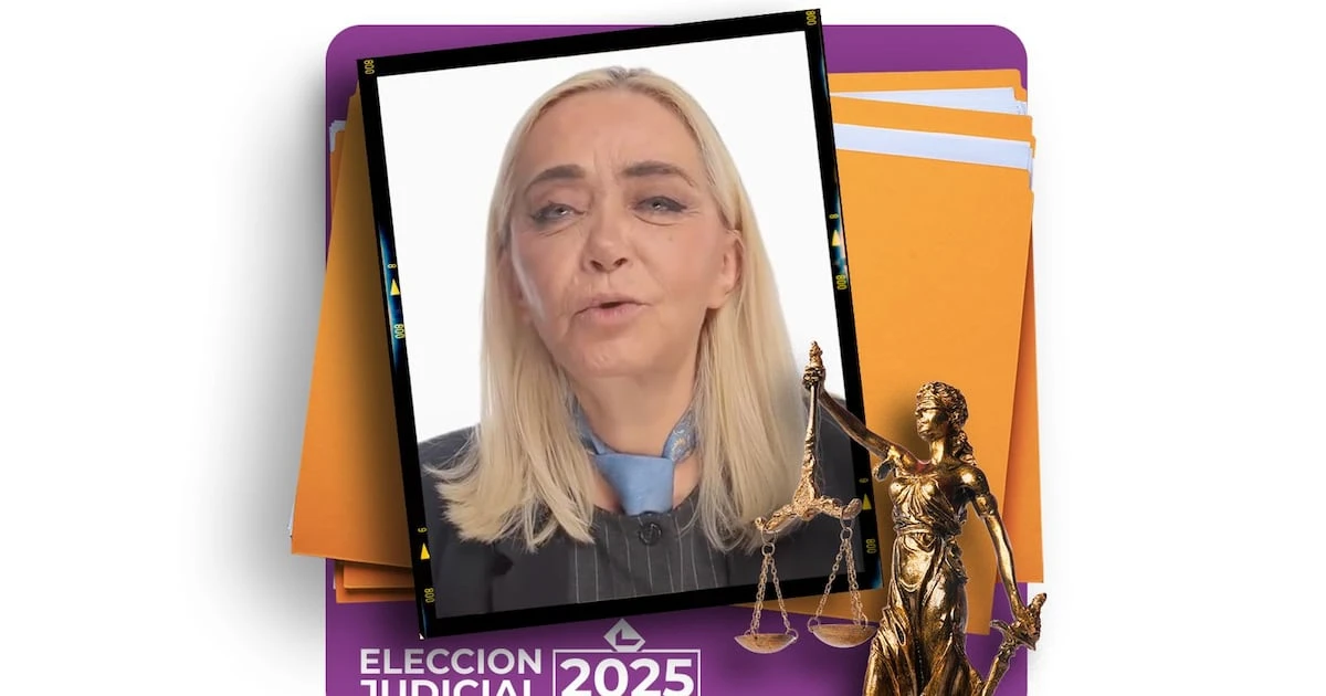 Ingrid de los Ángeles Tapia, la abogada ligada al caso de los Amigos de Fox que busca un lugar en la Corte
