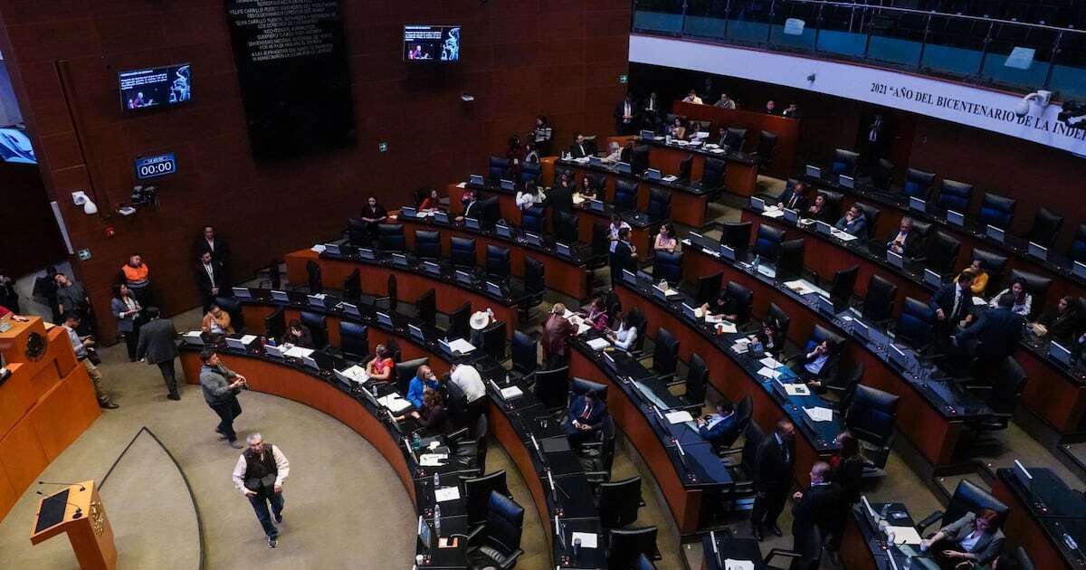 Senado aprueba la entrada de 155 marines estadounidenses a México: ¿Qué harán y a dónde vienen?