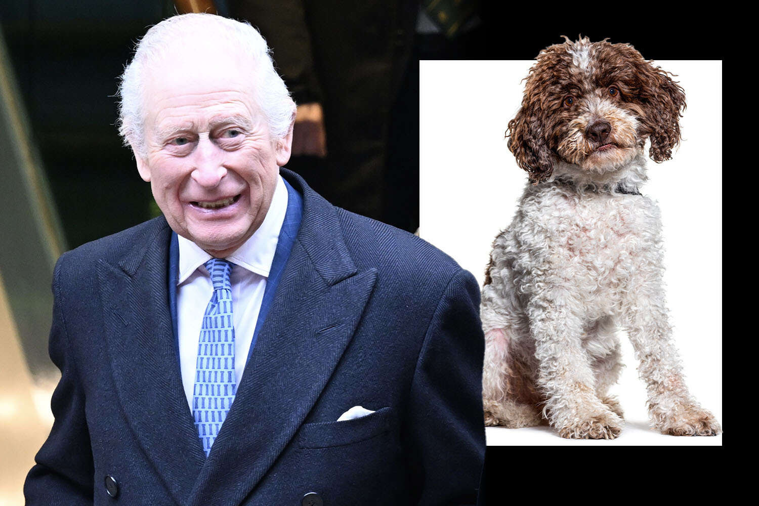 King Charles has new dog named Snuff - his first pooch in two decades