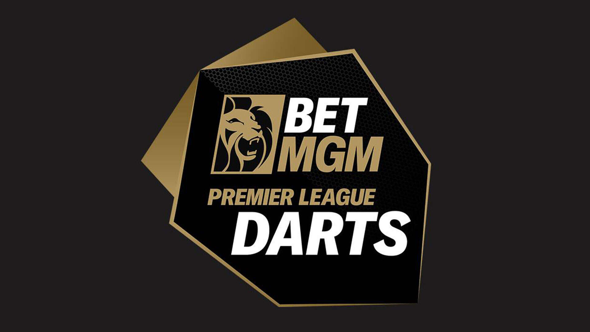 'Couple of idiots' - Premier League Darts ace gives verdict on the 2025 lineup