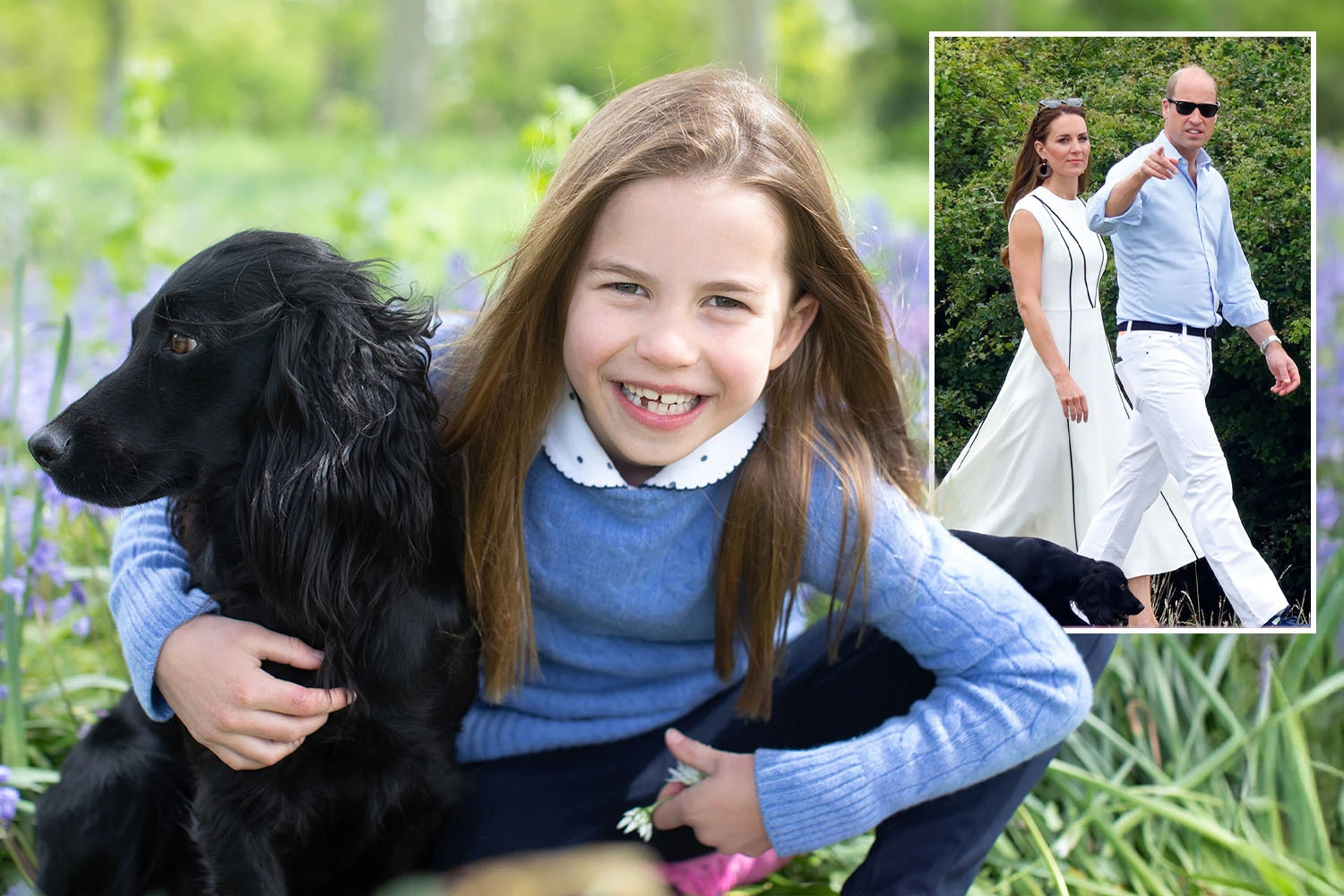 Wills & Kate's spaniel welcomes pups - & royal kids are already in love