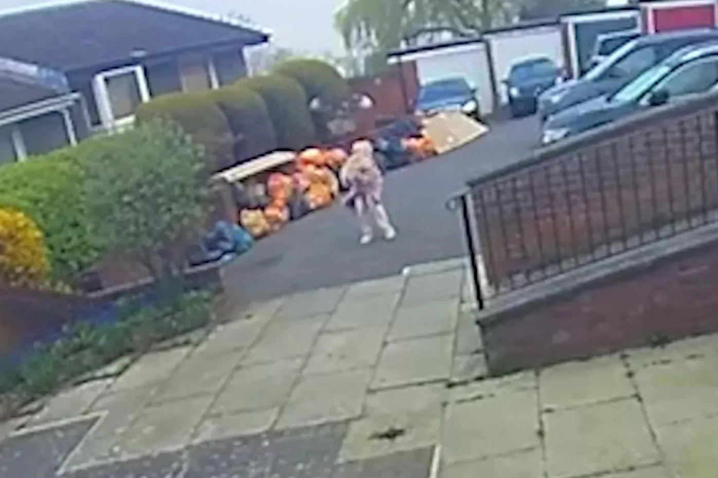 Moment woman ATTACKED by buzzard terrorising town as kids banned from playground