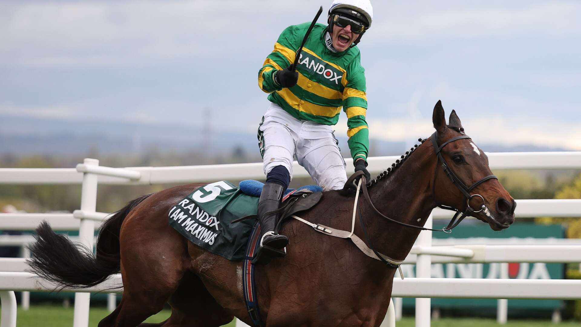 Grand National entries revealed as Willie Mullins fires 10 superstars at race