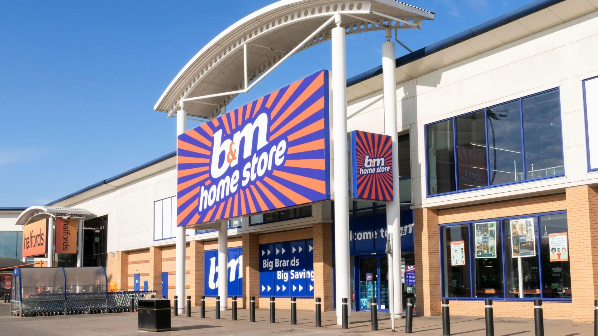 Garden fans rushing to B&M for bargain plant which gives ‘Bridgerton’ vibes