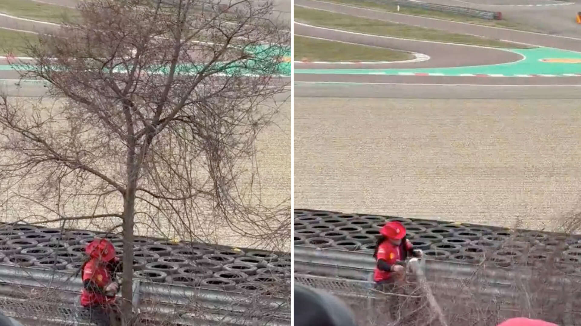 Moment Lewis Hamilton fan chops down TREE to get better view of Ferrari star