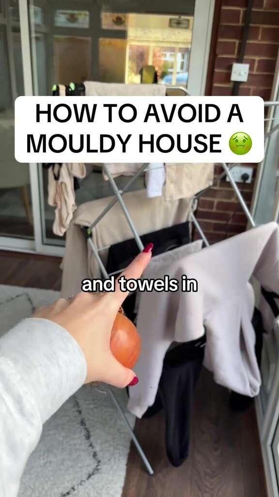 Drying laundry inside was making my home mouldy - now I swear by a £1.08 buy