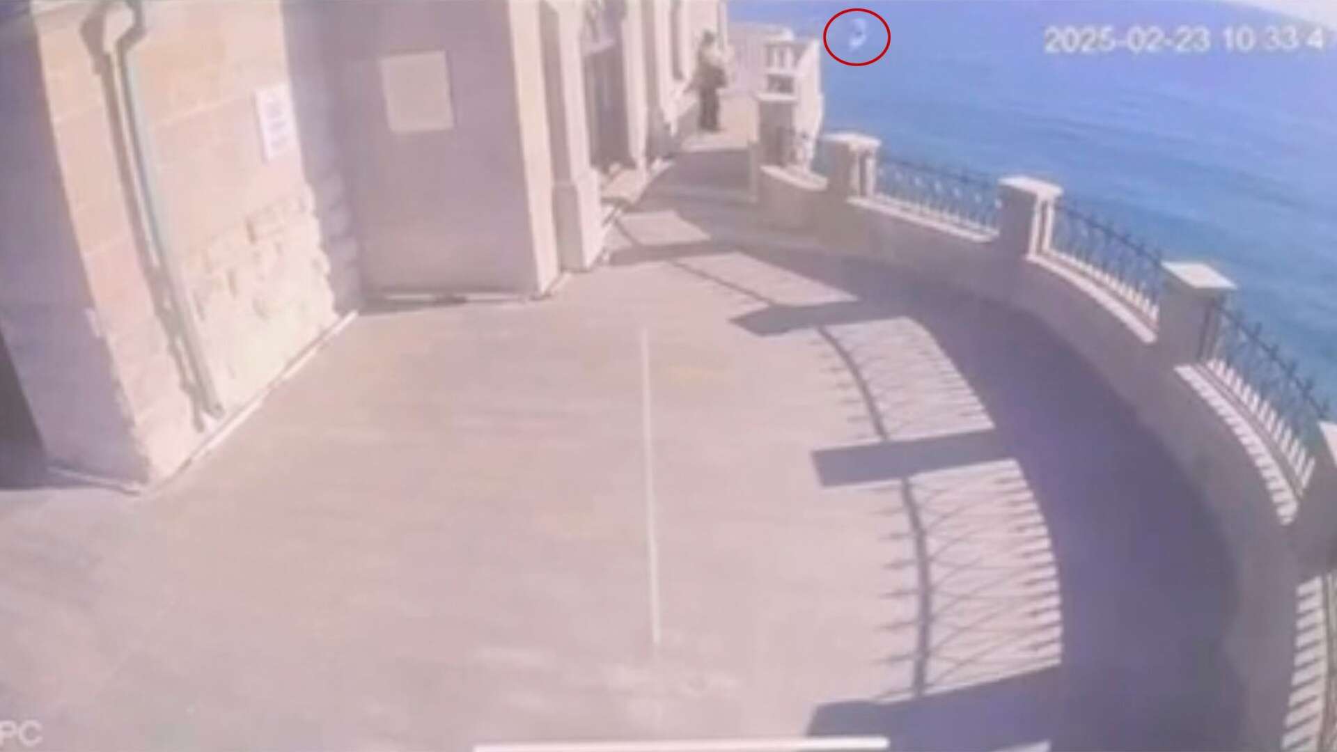 Moment sick tourist chucks cat off 130ft viewing platform… but it’s found ALIVE