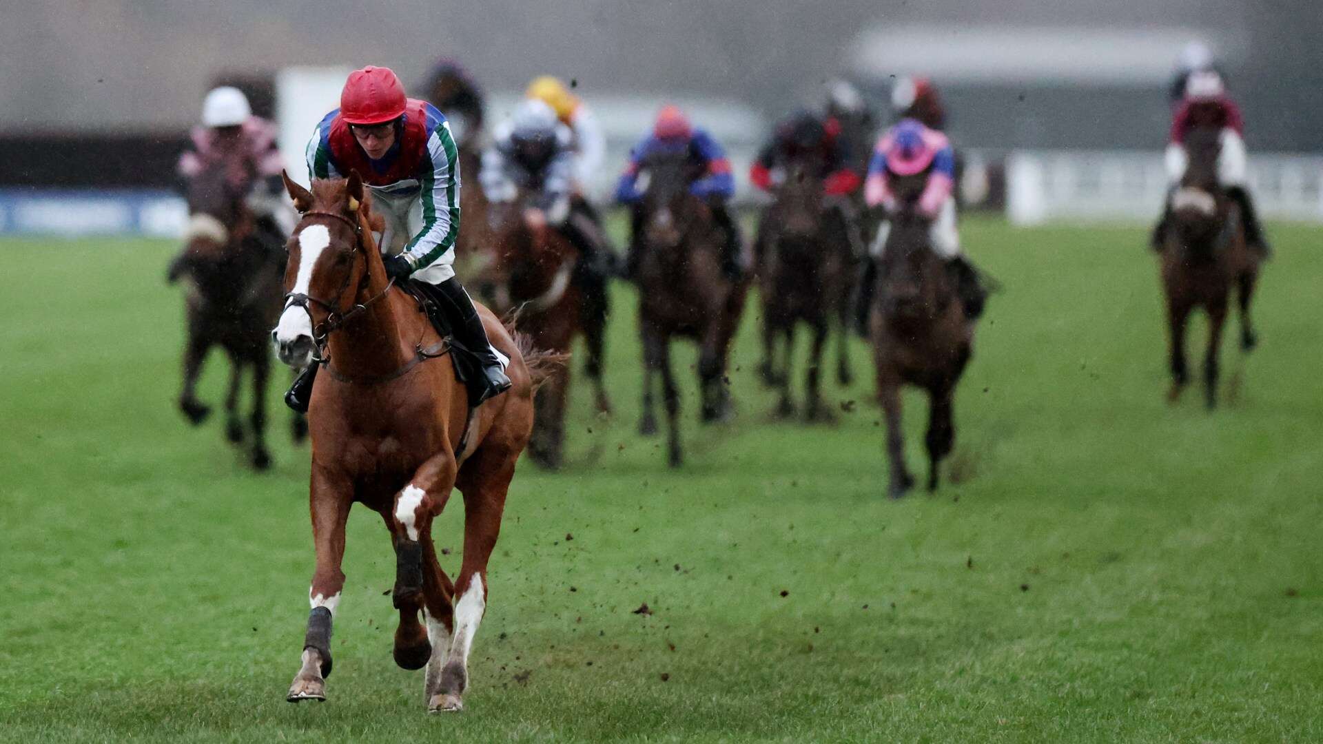 Racing's 'next superstar' and massive Cheltenham fancy ruled out of Festival