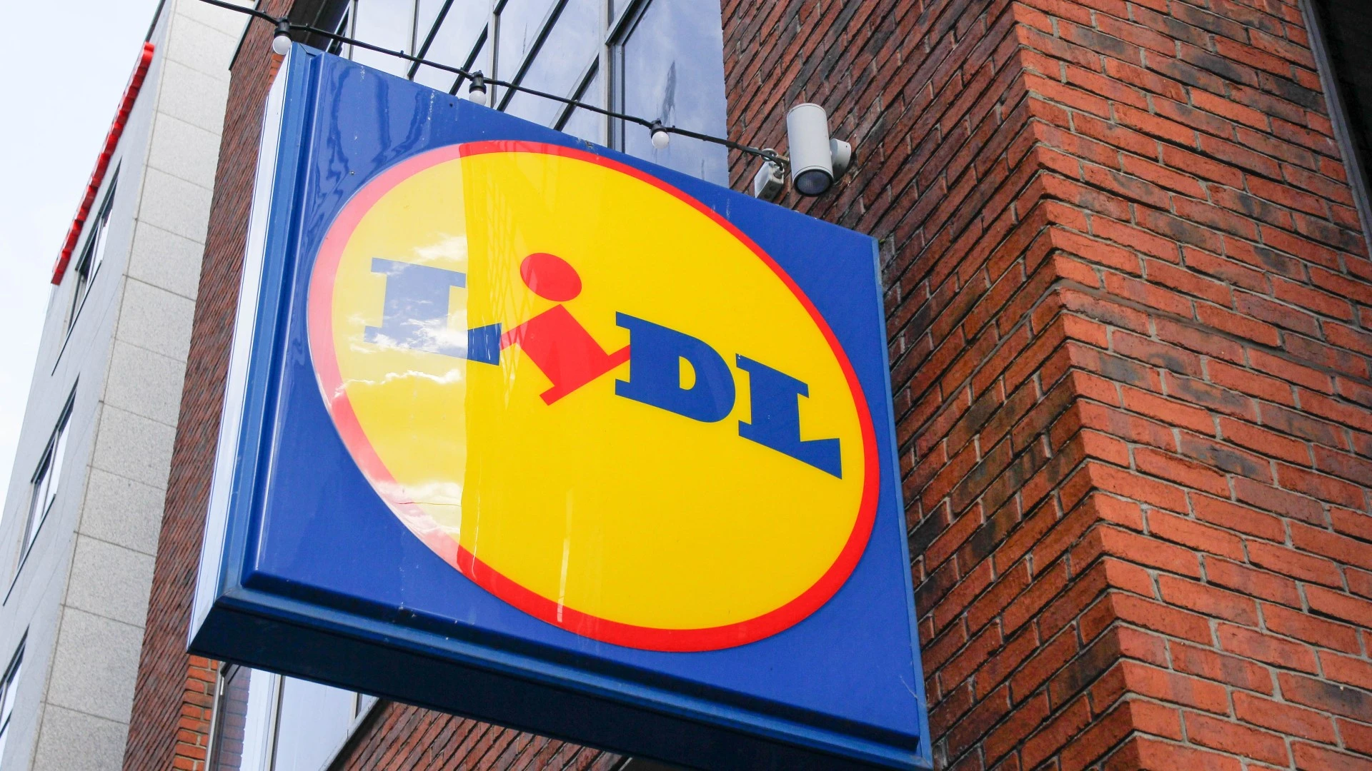 Lidl is launching lifelike £17 buy that instantly transforms your home