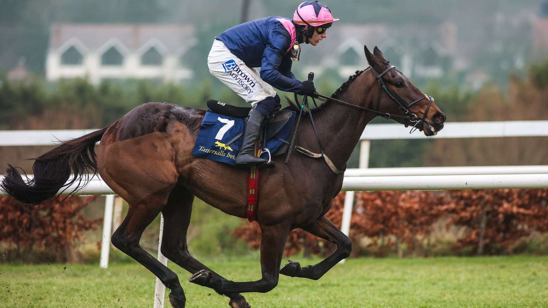 'Floods of tears' after Willie Mullins' new superstar horse produces freak win