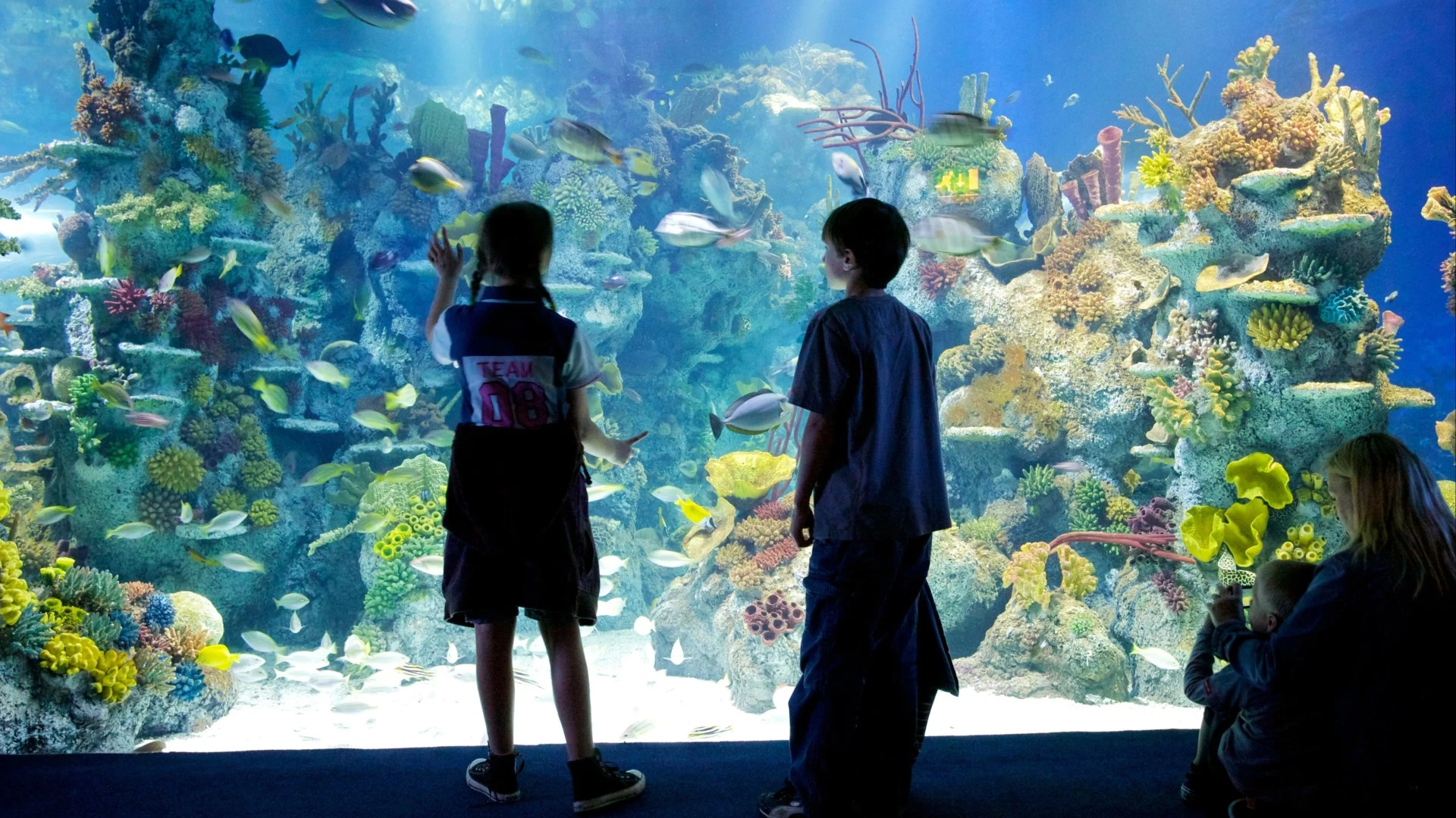 Aquarium mocked for launching special exhibition of 'non-binary' fish