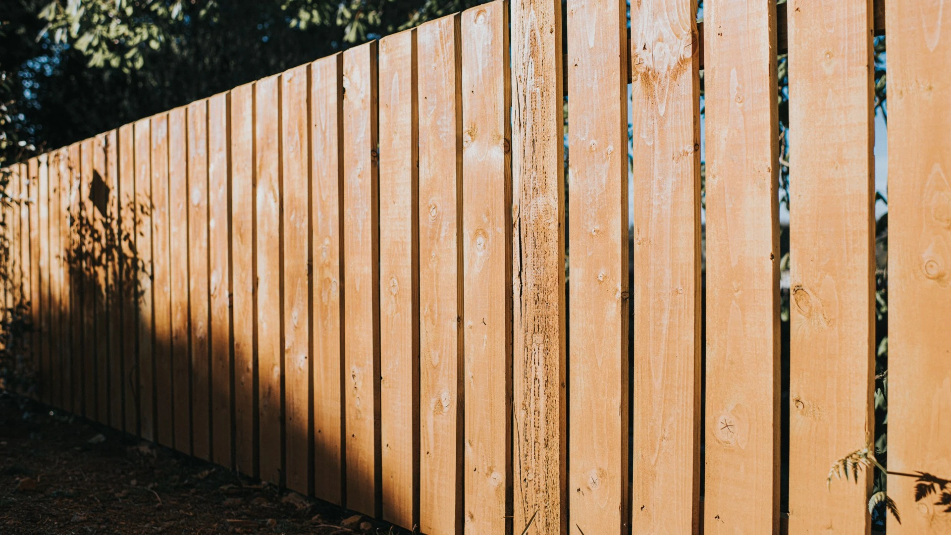My algae-covered fence went from green to brown with a £12 Wickes buy