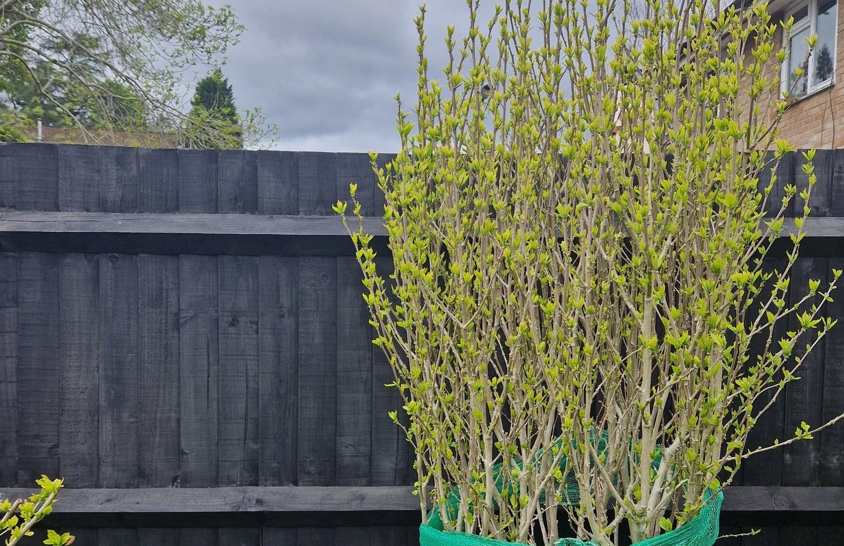 I tried a viral fence painting hack & it was an ‘absolute game changer’
