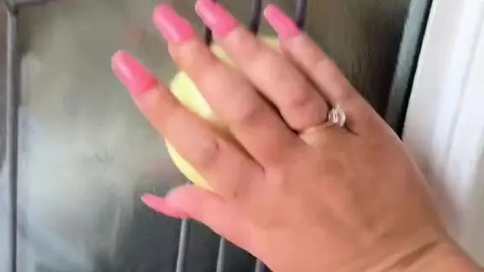 The 5p hack that stops wasps & flies coming into your home this summer