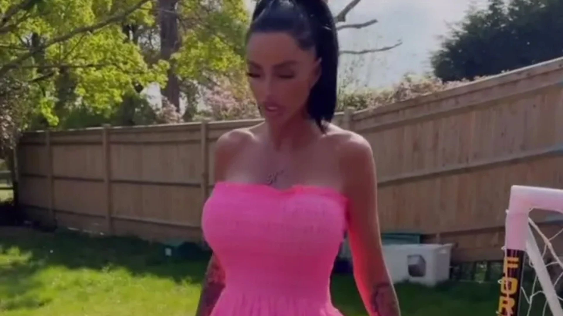 Watch moment Katie Price shoves aside cat with her FOOT as she models dress
