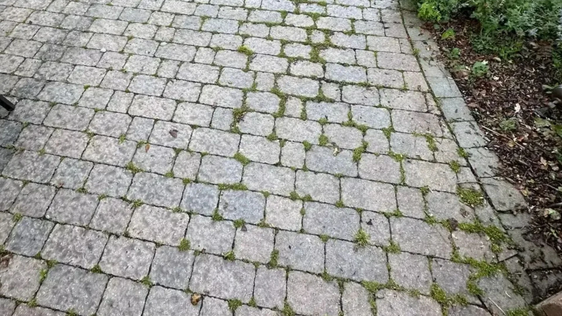 My parents’ patio was covered in moss - luckily there’s a pro-approved 35p hack