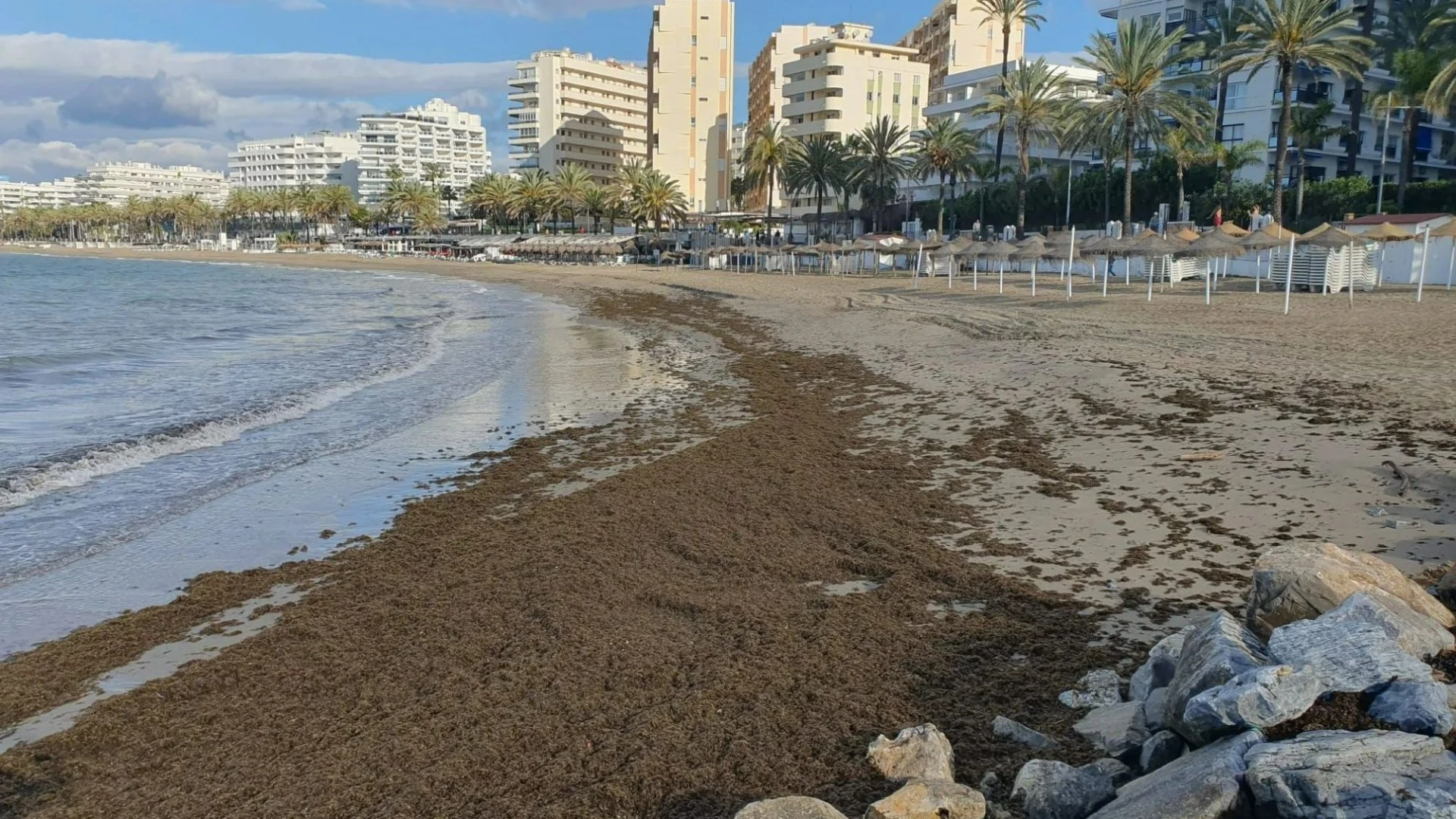 Brit hols hotspot beaches SWAMPED by 2,500 tons of rotting seaweed