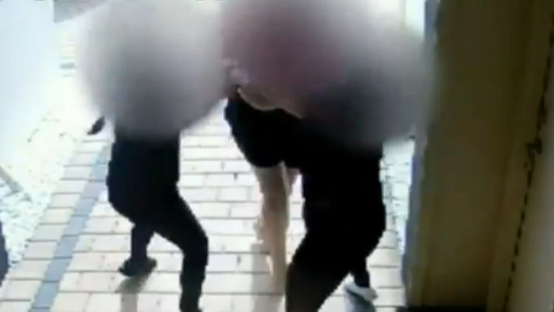 Shock moment two mums brawl & pull hair before schoolboy had to break it up