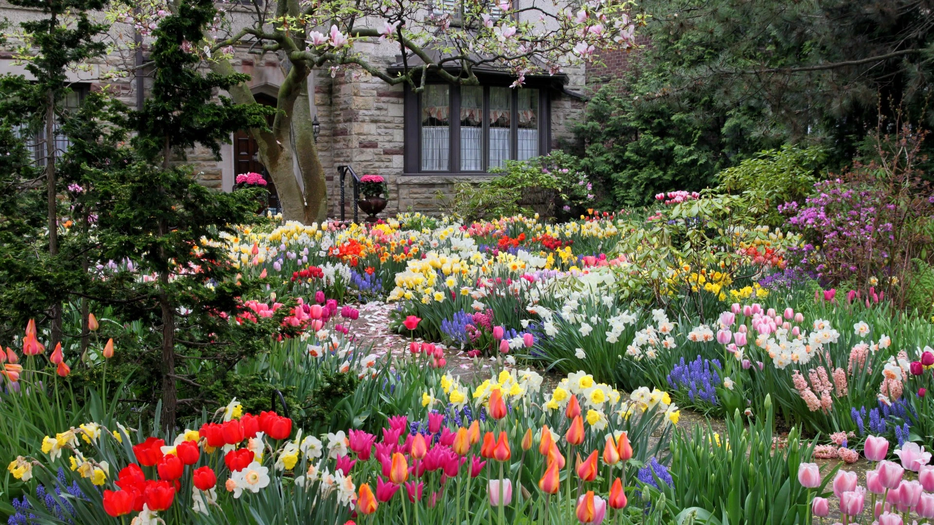 I decorated my garden with flowers – then my nosy neighbour asked if I had died