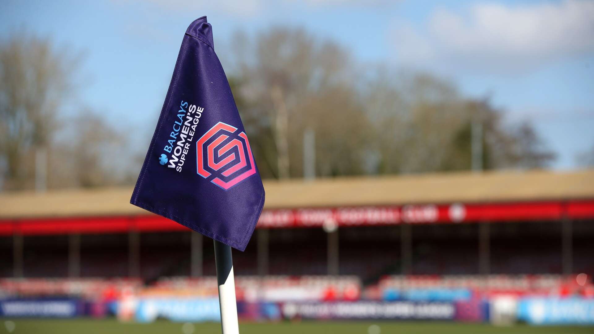 Concerned WSL fans launch petition opposing plan to scrap relegation