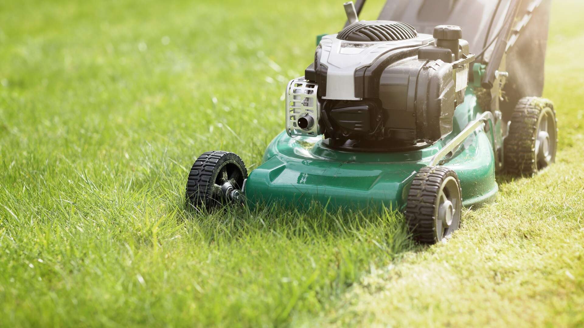 Monty Don warns gardeners not to make key mowing mistake this month