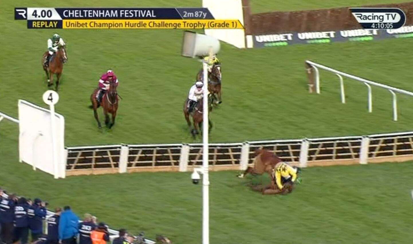 Disaster for punters as Constitution Hill & State Man fall in most dramatic race ever