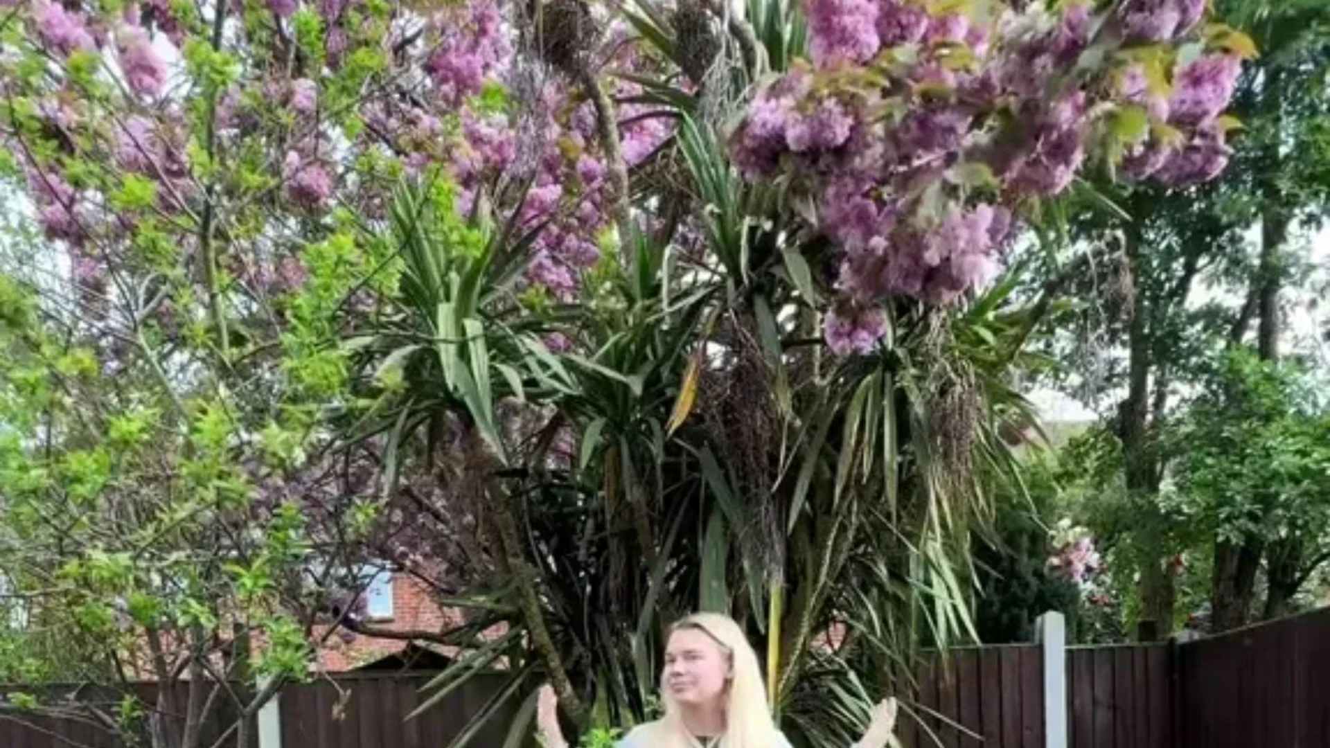 Mum urged to leave neighbour's 'overhanging' tree alone as it's 'so pretty'
