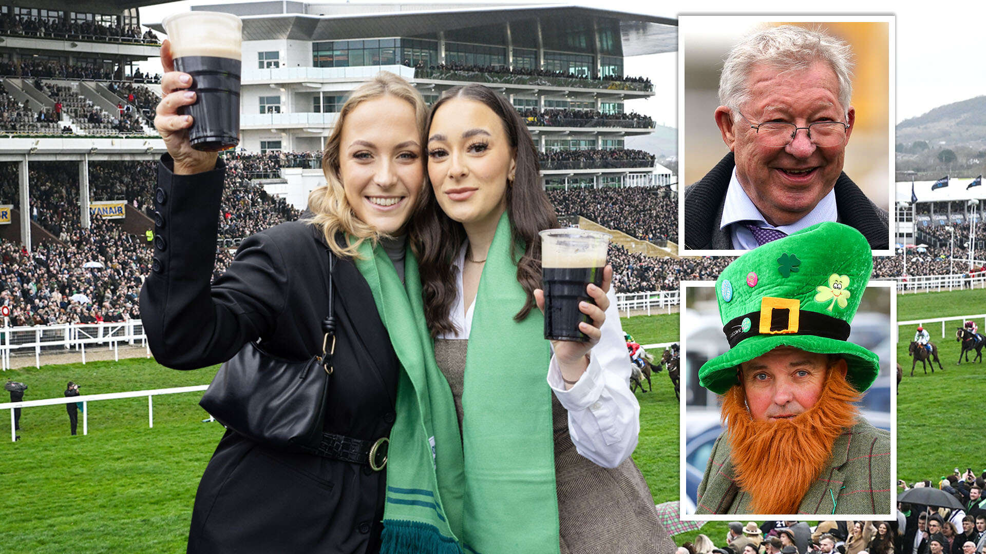 Day three latest and Templegate's top tips for St Patrick's Thursday