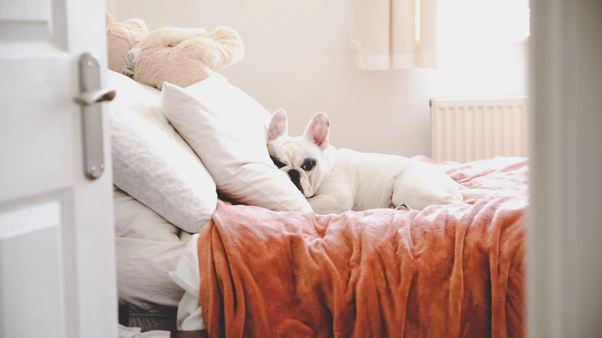 I’m an interiors pro, here's my 4 ways to make your small bedroom look bigger