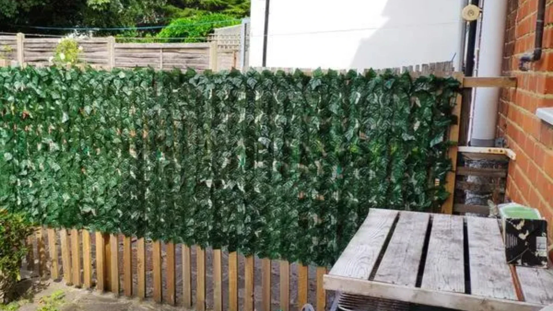 I gave my garden instant privacy with an easy B&Q buy that will last in winter