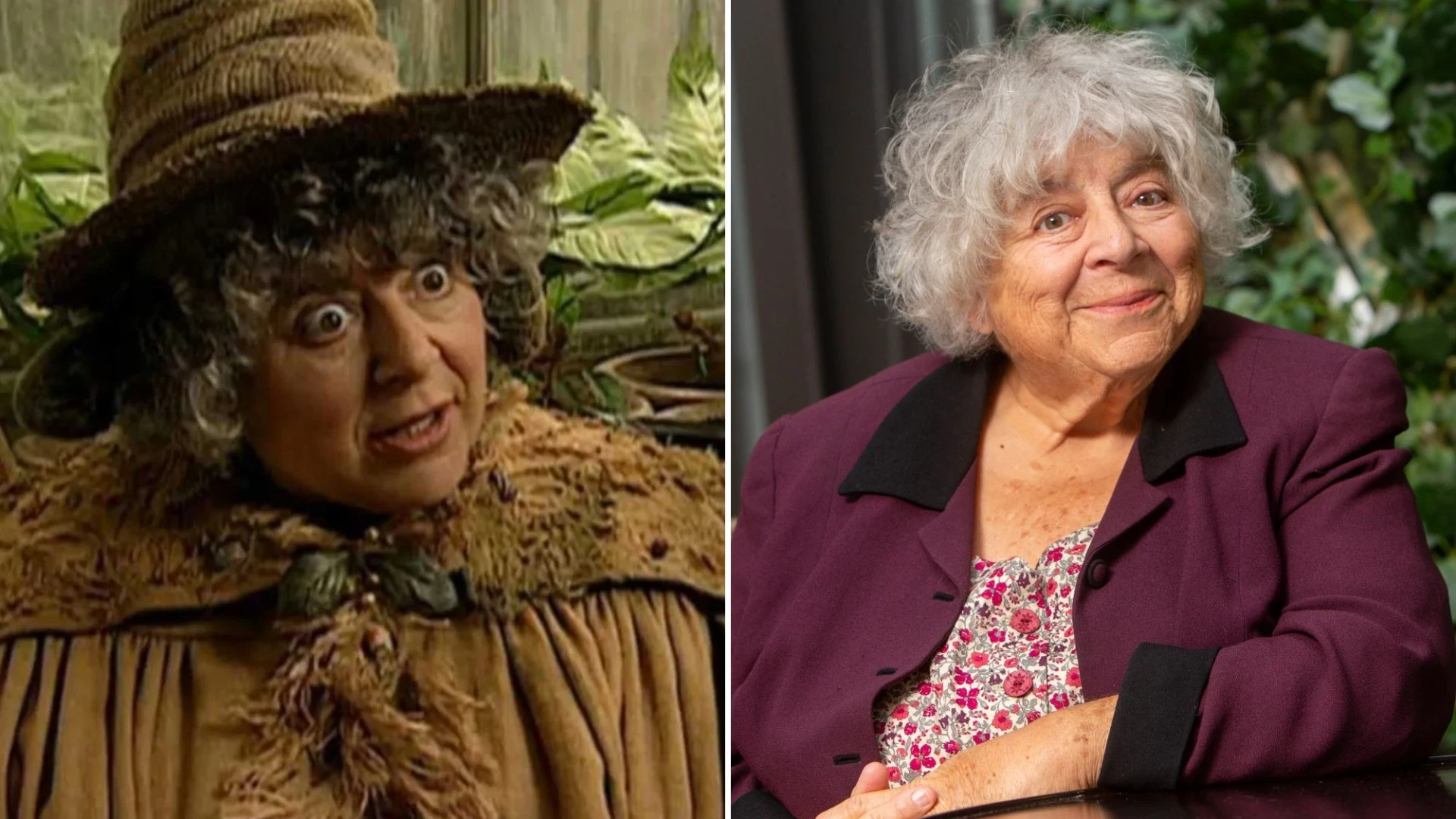 Harry Potter star reveals plans for assisted dying - 'I've let my body down'