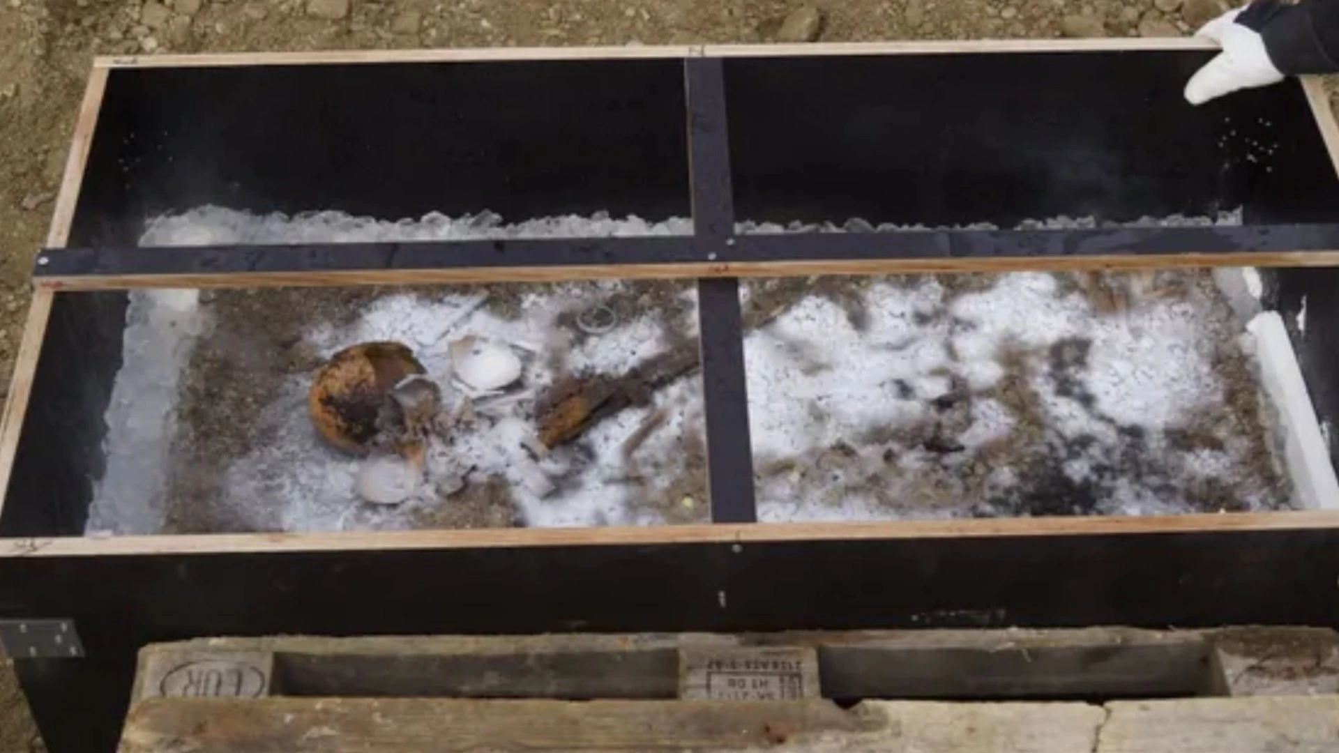Ancient burial of 'Ice Prince' uncovered alongside dismembered sacrifice