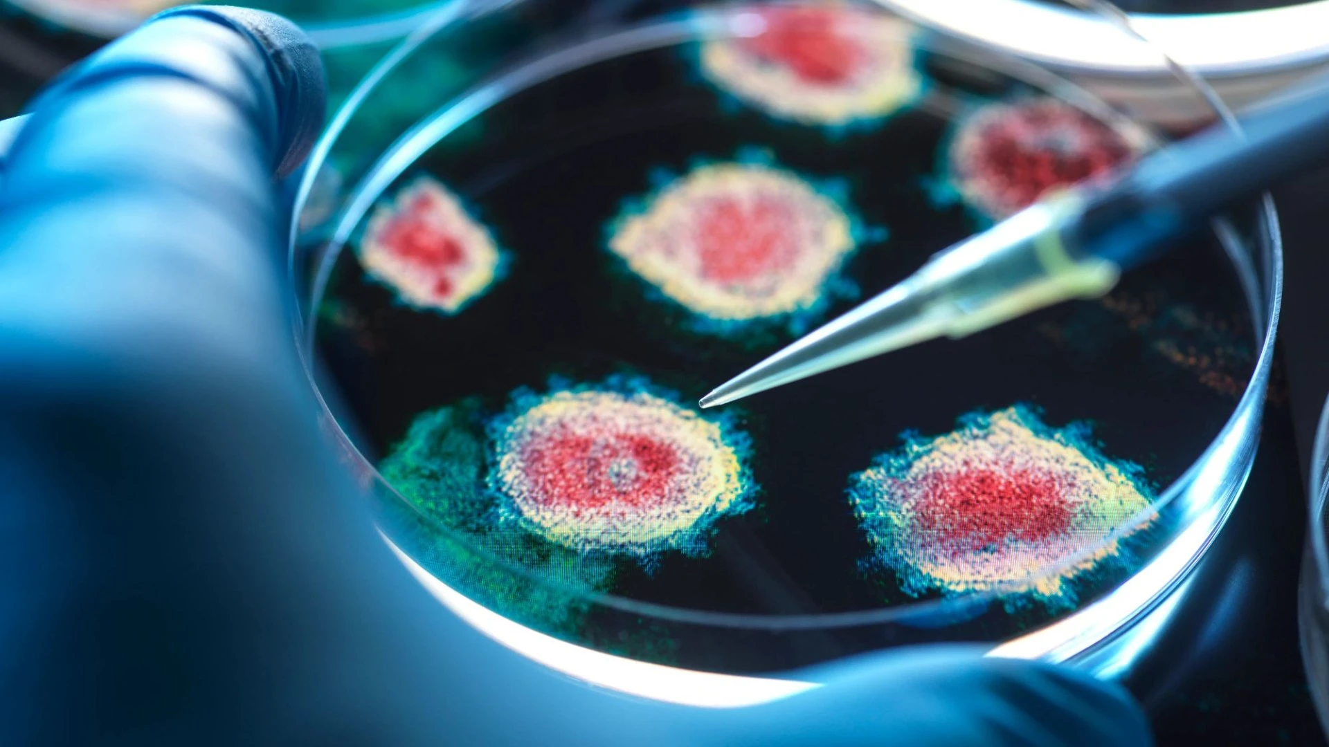 New coronavirus ‘one small step from infecting humans’ and sparking outbreak