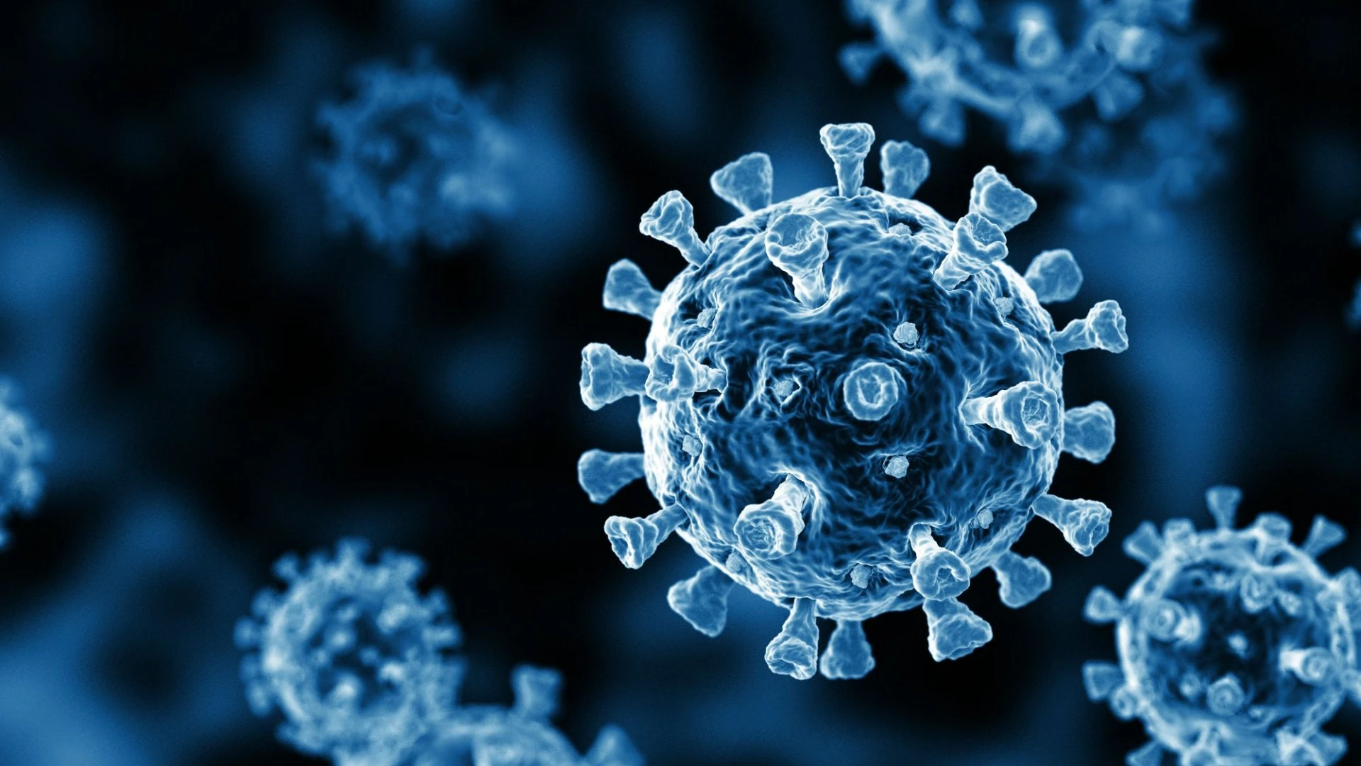 Urgent holiday warning over new 'more infectious' Covid variant as cases surge