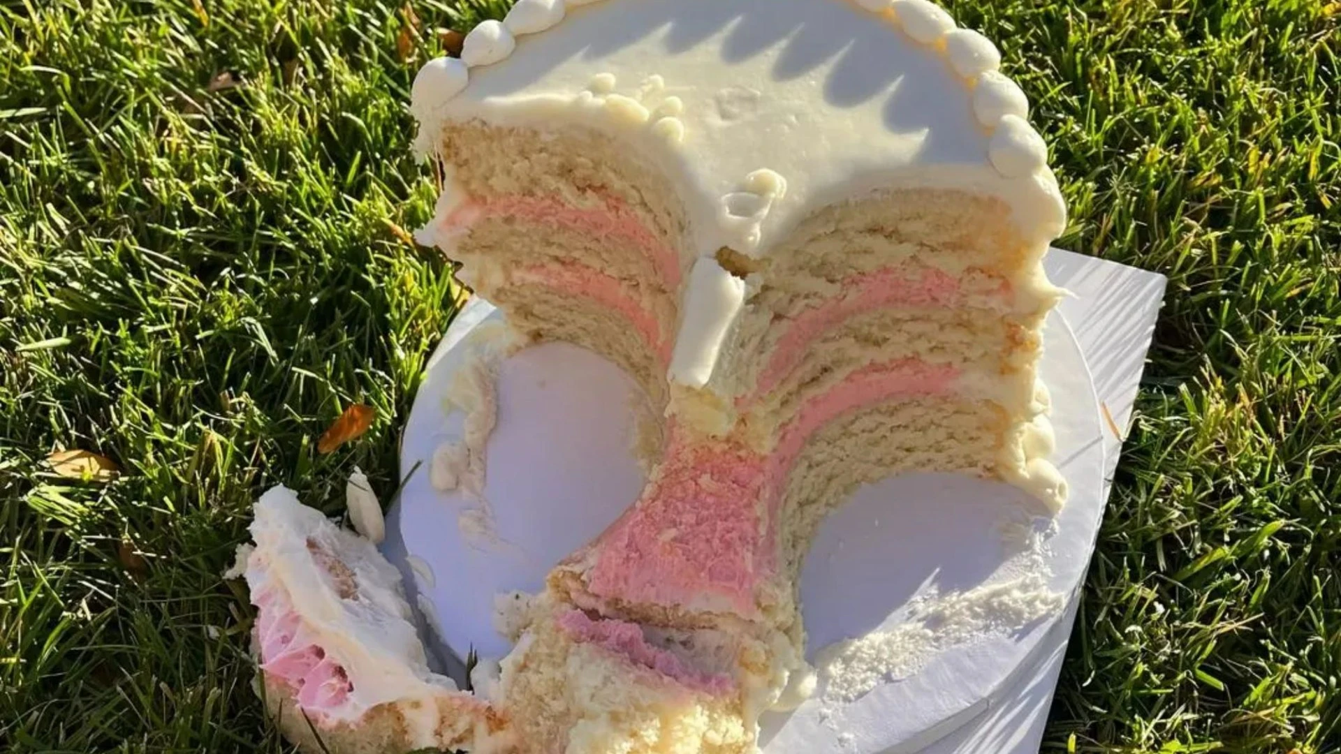 ‘Saddest cake on the internet’ goes viral for very unexpected reason