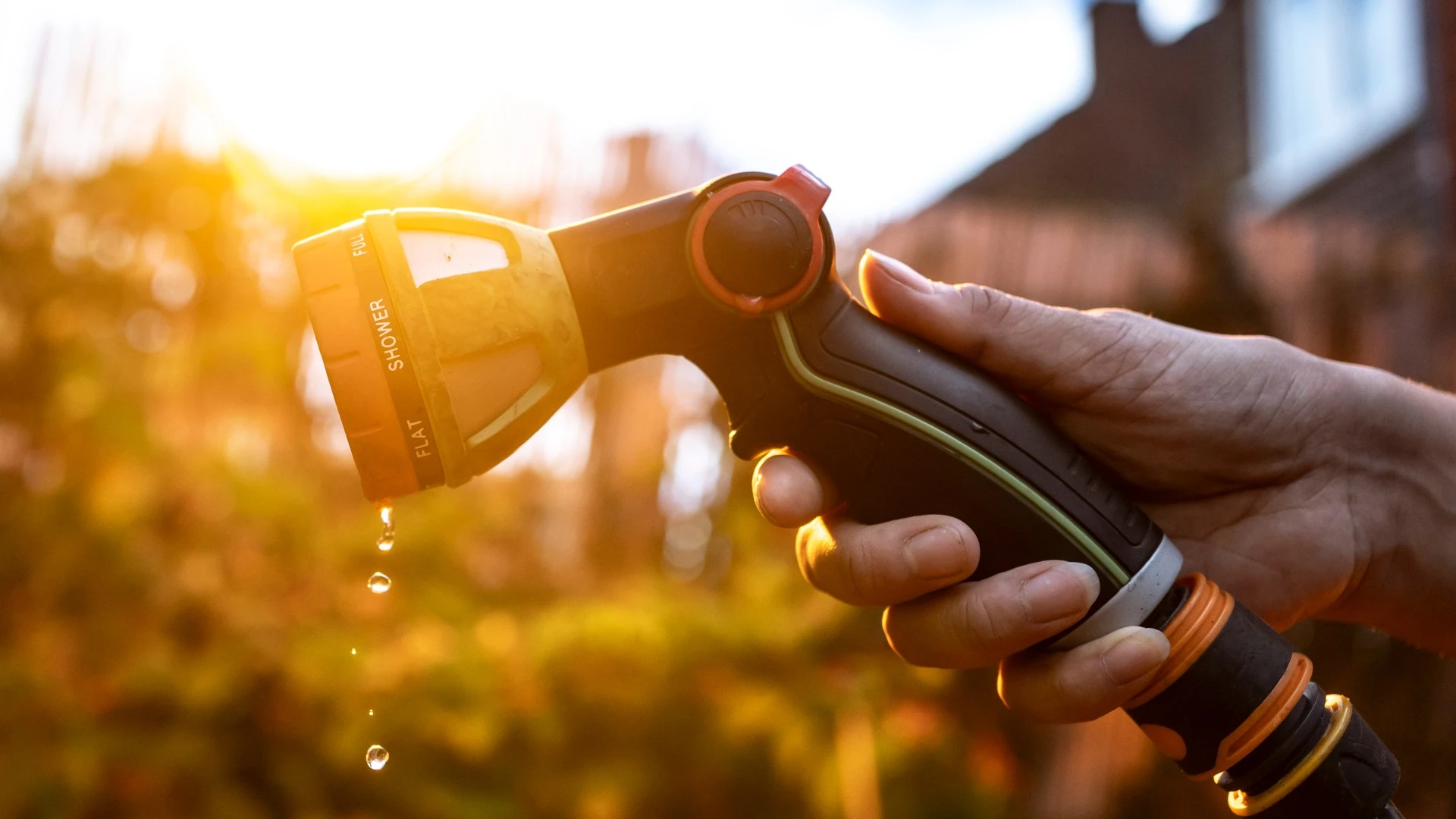 Gardeners told not to mow lawns this weekend with hosepipe bans across the UK