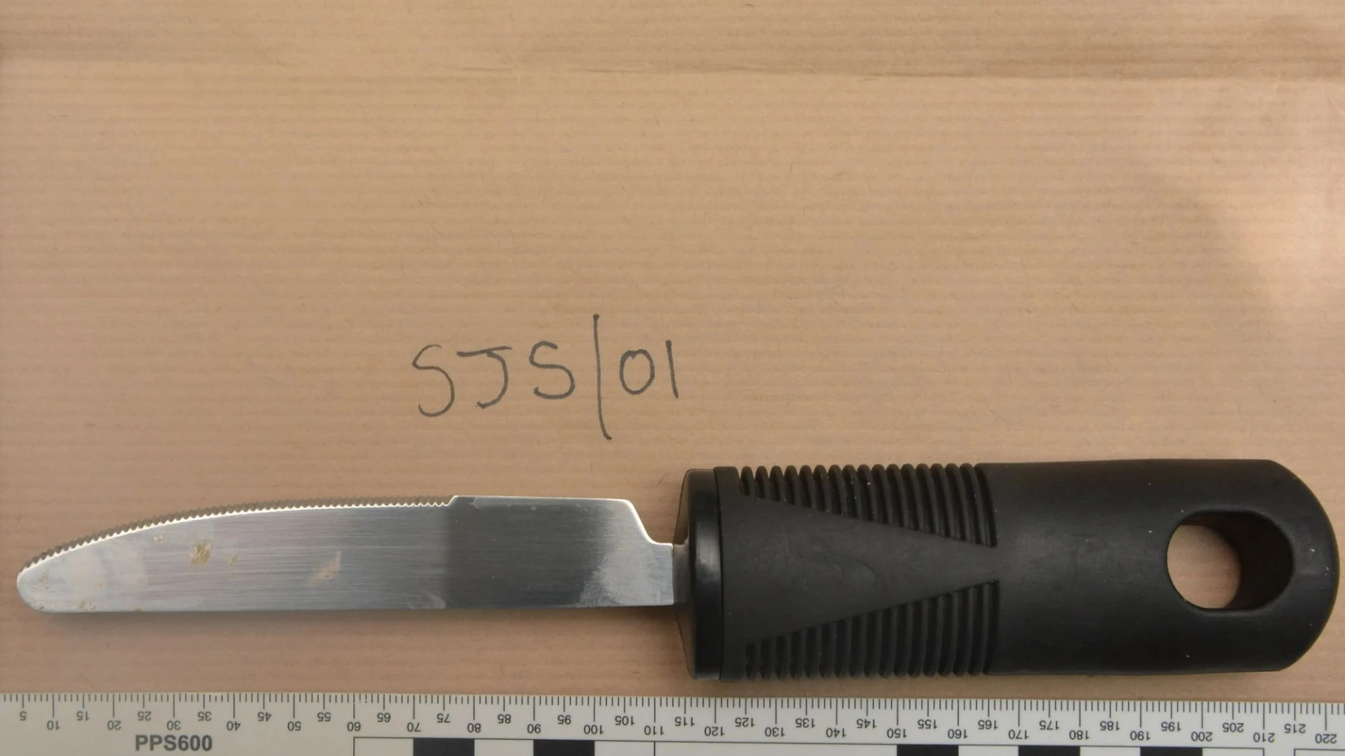 Butter knife that led cops to pepper-spray & Taser amputee, 92, is pictured