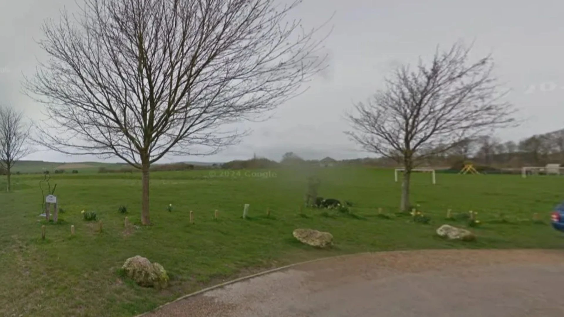 Girl, 12, 'raped outside school' as two teen boys she met that day arrested