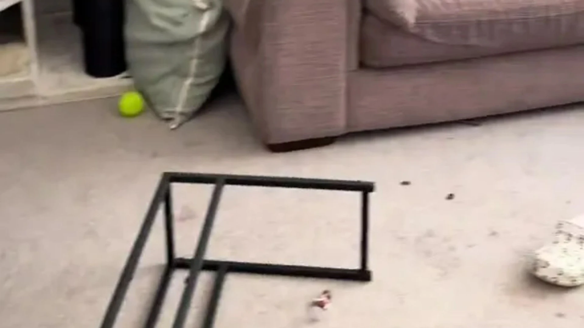 I’m trolled for my ‘dirty’ house, people say there’s ‘no excuse’ for that mess