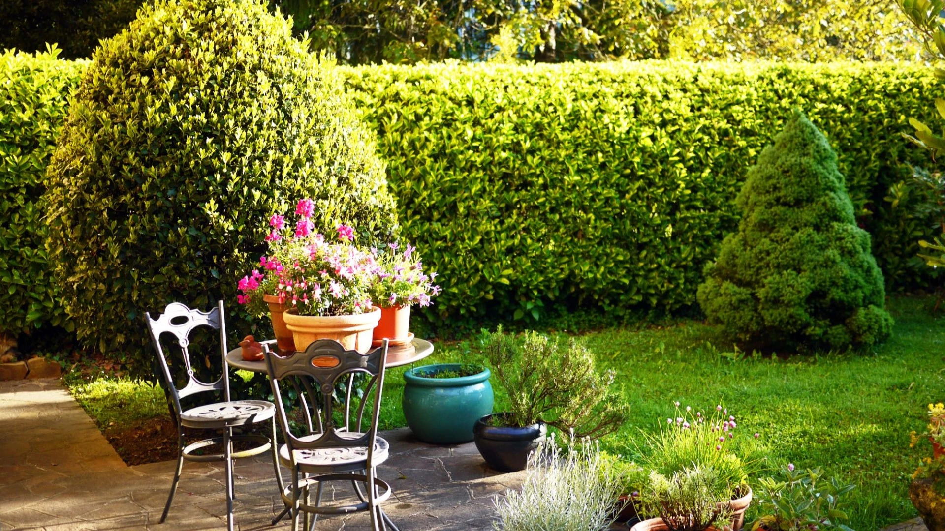 12 plants that grow super quick and add instant privacy to your garden
