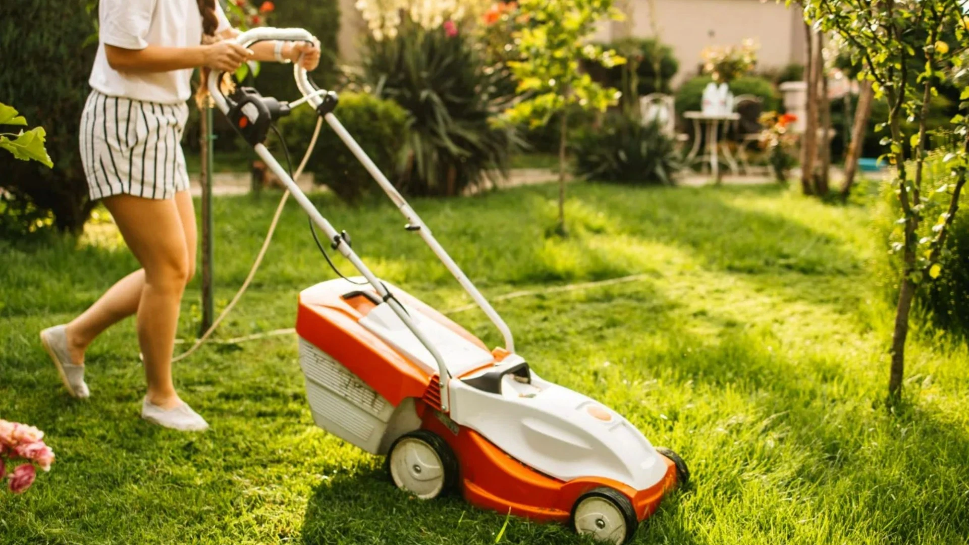The worst times to mow your lawn - & the mistake that WRECK your grass