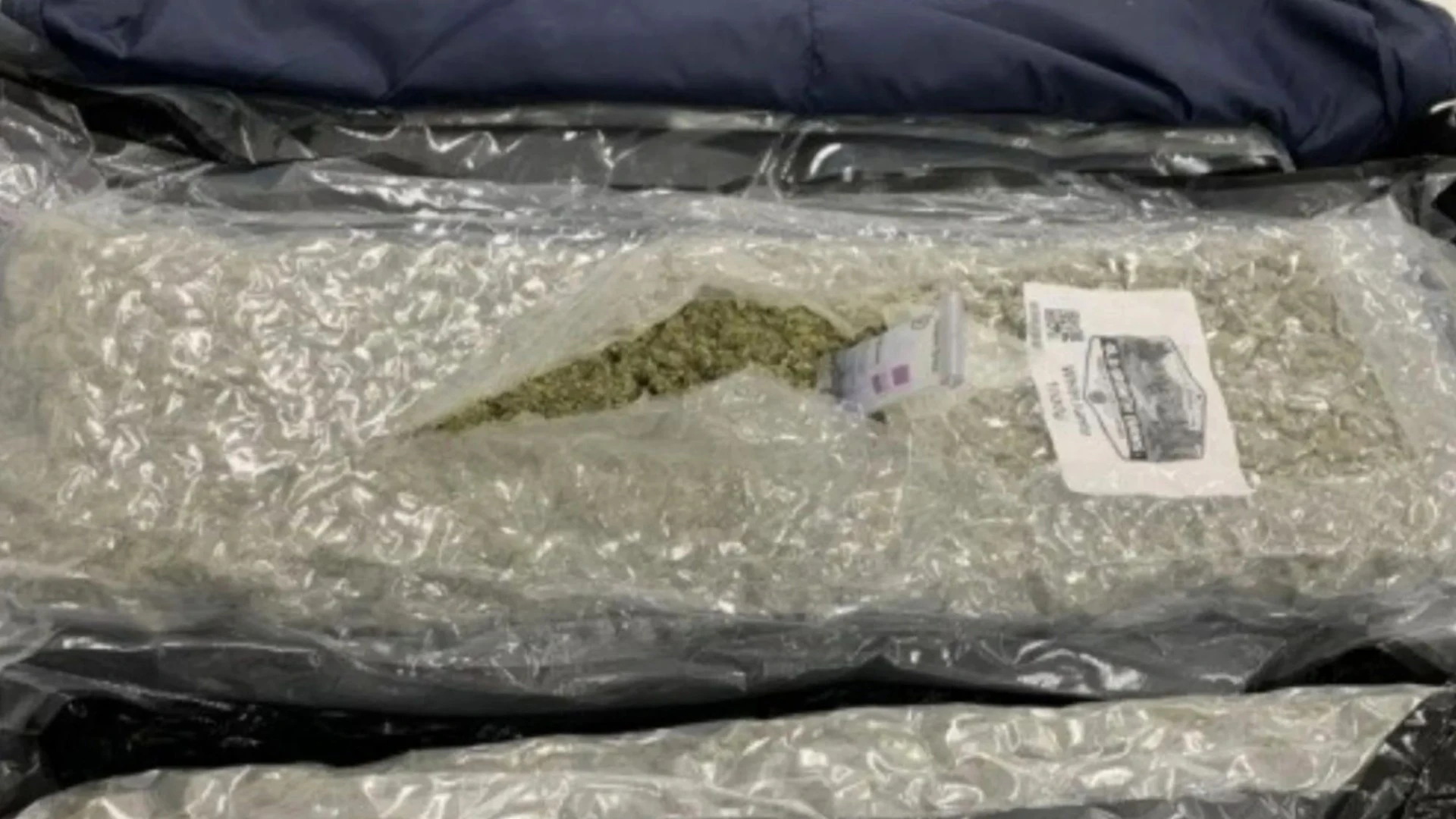 Cannabis seizures at UK airports soar to new highs with Thai gangs responsible