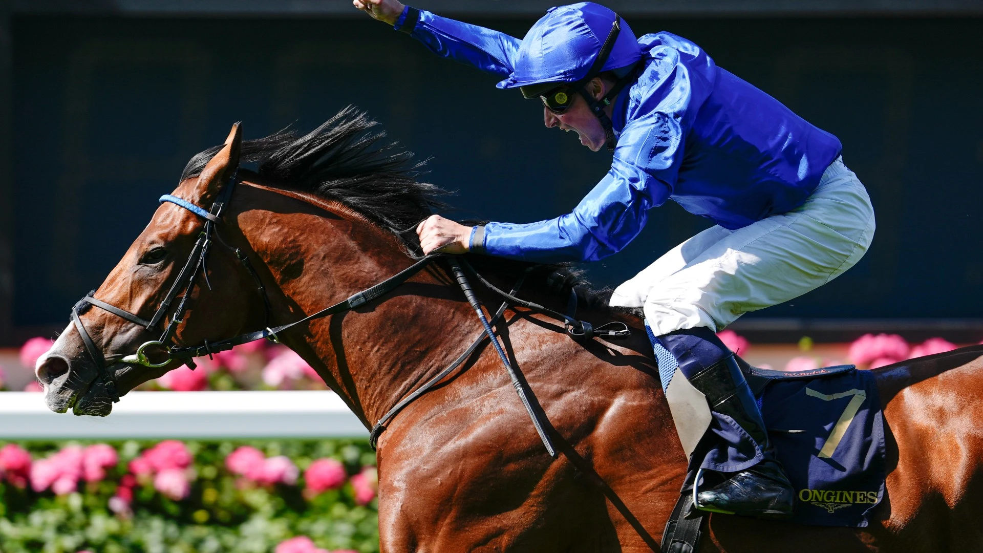World's best horse absolutely smashed in for £1m race as bookies fear huge loss