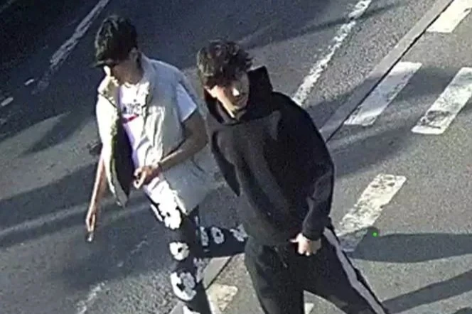 Woman sexually assaulted on park bench with CCTV released in hunt for 2 men