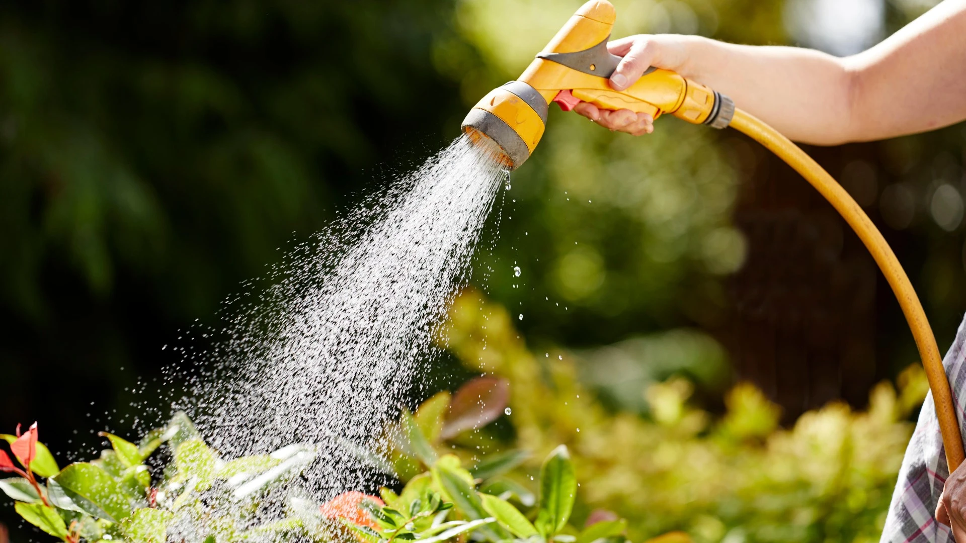 Full list of areas hit with hosepipe bans this summer - check if YOU’RE affected